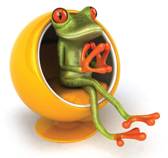 Earth Frog